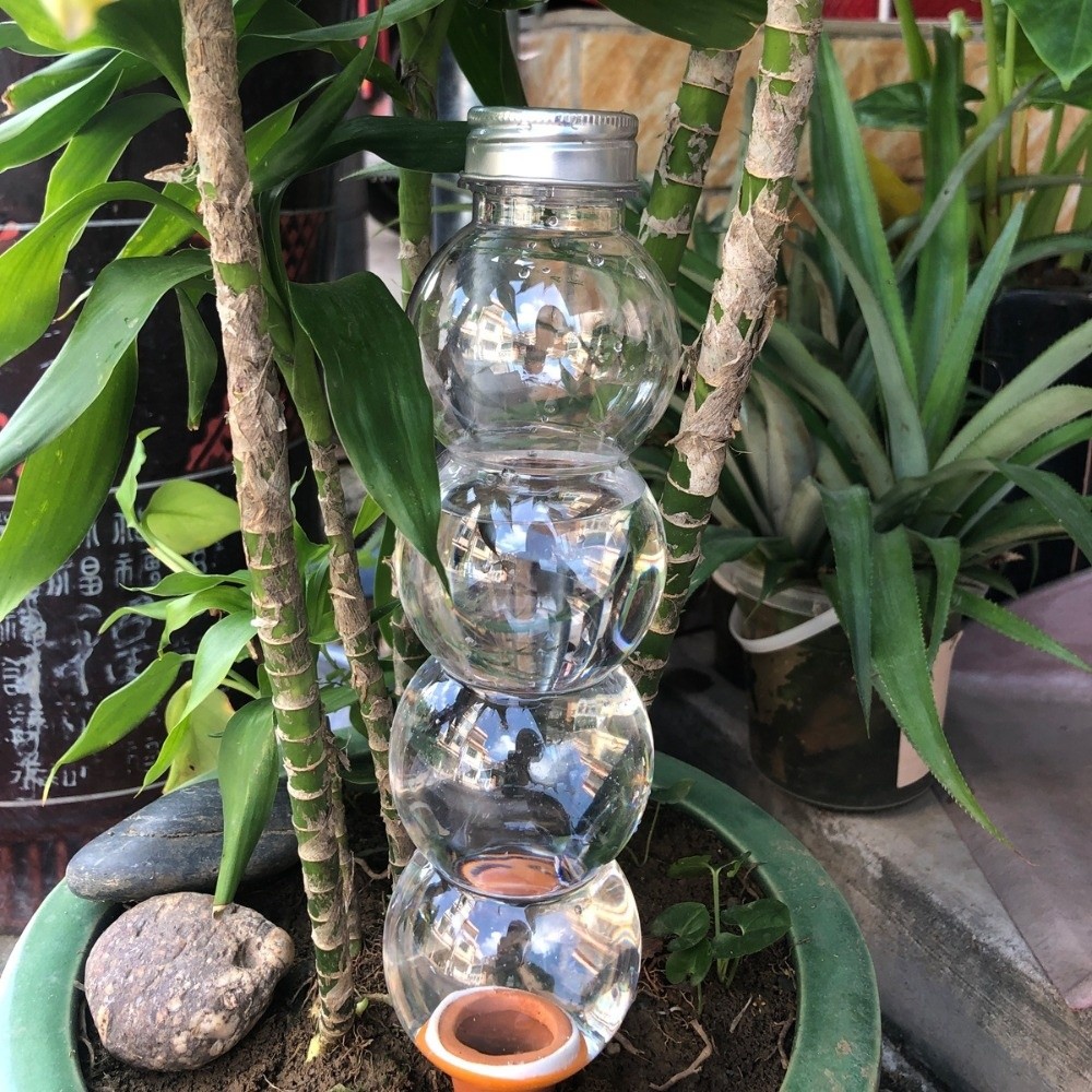 Самополивающийся вкладыш для к – обзор и цена Self Watering Insert