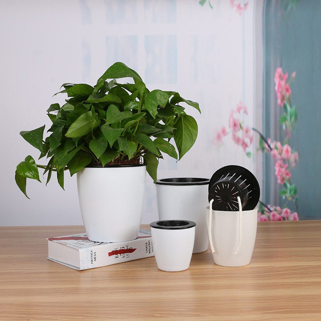 Горшок для цветов с автоматиче – обзор и цена Self Watering Insert